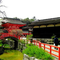下鴨神社（賀茂御祖神社）。一之瀬君枝です。