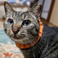 ジメジメしてるね！