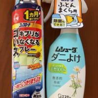 どっちが効果ある？悩む〜！・壁飾り出来ました