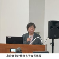 【沖縄本・資料集】海洋交流の考古学　九州考古学会・嶺南考古学会 南島考古入門 掘り出された沖縄の歴史・文化 沖縄考古学会 編