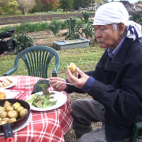 菅原文太さんご夫妻が・・・