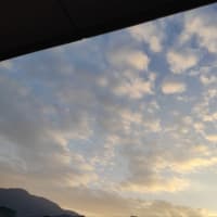 2025/06/20