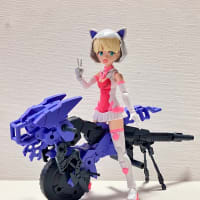 30MS ニャレンティのバイクできた、そして…（笑）