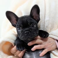 ＊＊オーナー様募集中です♪＊＊