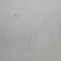動物園スケッチ ③