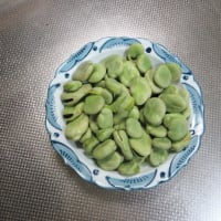 今季のソラマメは近年では一番でこれが最終