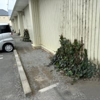 緑地管理