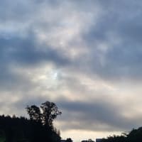 朝空