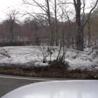 玉川温泉は　まだ雪の中