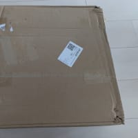 TEMU プランター 