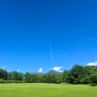 涼しいです