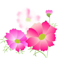 コスモスと　藤の花　紫陽花