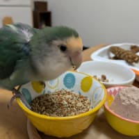 横浜のニュースって・・・