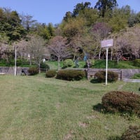 城ケ丘公園の掃除