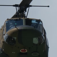 令和七年度五月期　陸海空自衛隊主要行事実施詳報(2025.05.24-2025.05.25)