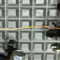 キャンカーの走行充電リレーの故障