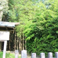 西都原（さいとばる）古墳群