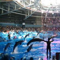 水族館
