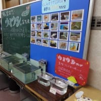 20240624　くにみクラゲ公民館