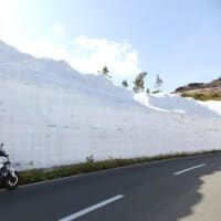 雪の回廊＠志賀草津高原ルート