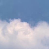 チャイとミルクティー