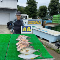 ７月４日 金曜日
