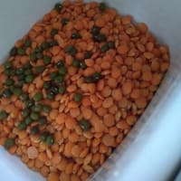 緑豆で暑気払い