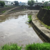 昨日夜、短時間に102㎜の集中豪雨が（埼玉・所沢）