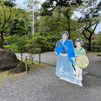 今日は霧島神宮散策したり