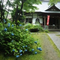 東北の旅③中尊寺へ