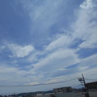 今日も蒸し暑さ半端ない～ ヽ(｀⌒´)ノ　ハラダのラスク　フロマージュ買ってみた＾＾