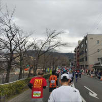 京都マラソンレースレポート　６　京を走り抜けフィニッシュだ！！　市長さんもお出迎え！？　〜どうしようひで会長　64〜
