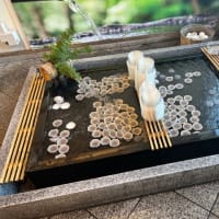 『三方五湖の鰻を食べたい』