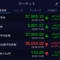 2025年5月30日の株式投資😊　今月最終日です。