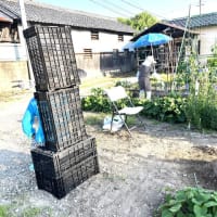 6月19日(木)②