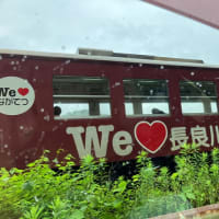 長良川鉄道と大和道の駅