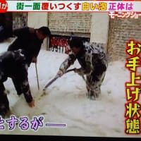 ギネス記録ゲームのご案内