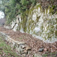 鳥取城　二ノ丸水路