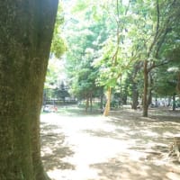 代々木公園