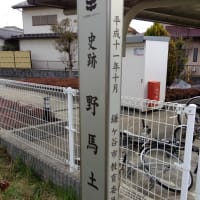 鎌ケ谷野馬の土手