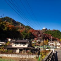 秩父の名刹は激坂まみれ