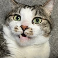 ちょい寒いかも。🙄