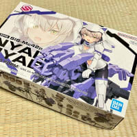 30MS ニャレンティ=ニャボロ届いた〜♪