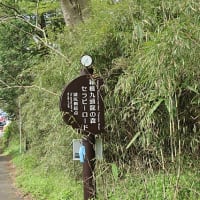 箱根　神山・駒ヶ岳