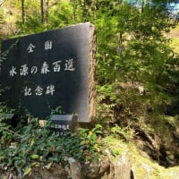 ポンポン山＝超久々の「川久保渓谷」　久々、腰、やってもうた。💦　2024-10-13