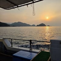 今日のルアー釣り　7月5日(土)