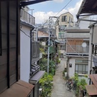 梅雨時の樋口一葉の井戸