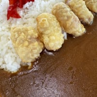 大浜パーキングエリア（下り）＠尾道市「たこ天カレー」