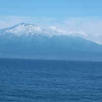 北海道旅行　7日目　2024年5月　新日本海フェリー