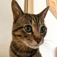わっ❣️どいつ⁈
